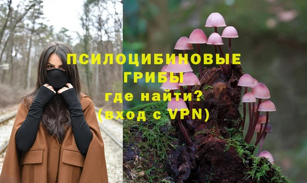 а пвп мука Бугульма