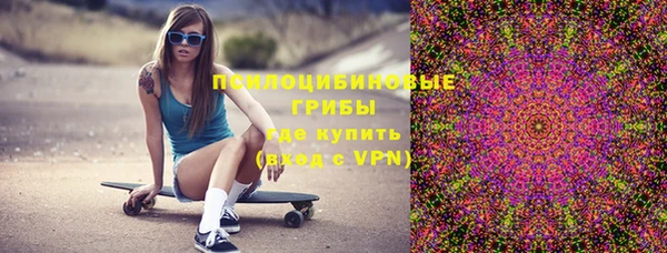 спиды Бронницы