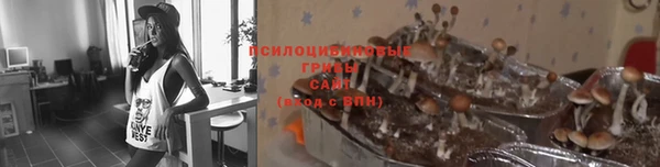 спиды Бронницы