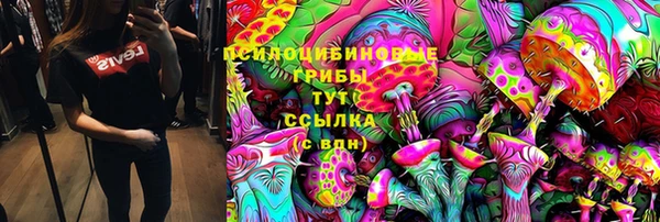 наркотики Бородино