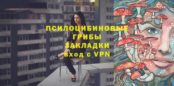 спиды Бронницы