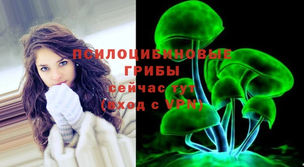 наркотики Бородино