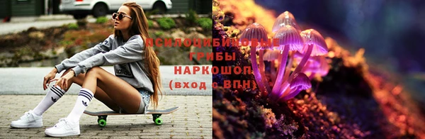 спиды Бронницы