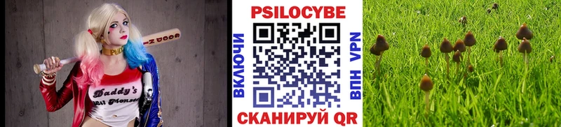 Псилоцибиновые грибы мицелий  Нижний Тагил 